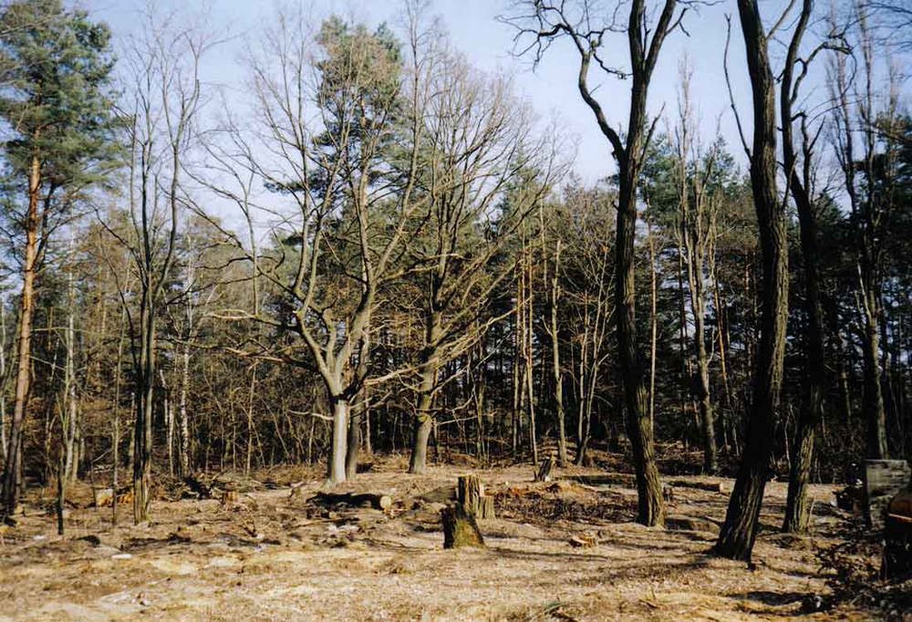 zehrensdorf 8