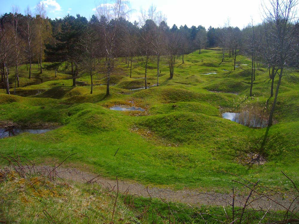 Former battlefield of Verdun. The ground is punctured by numerous craters, some filled with rainwater, creating an undulating landscape. Thin sparse trees with no greenery populate the ground