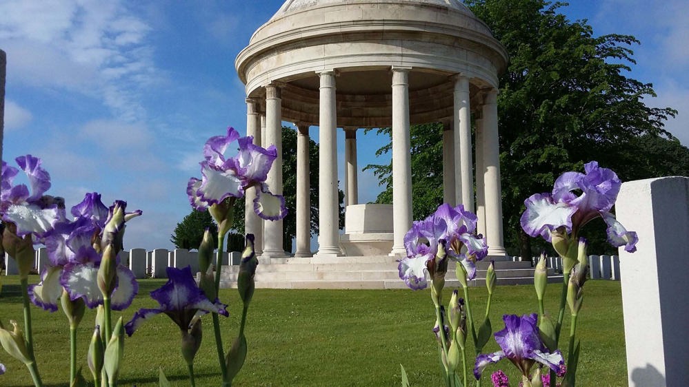 Iris Plants blooming in front of the rotunda shelter building at Bedford House