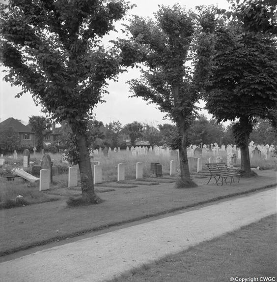kettering trees700