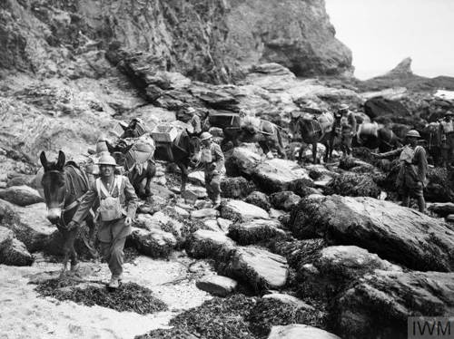 brecon riasc 1940 nov mules rocky terrain iwm h 5568