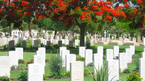cairo war mem cem