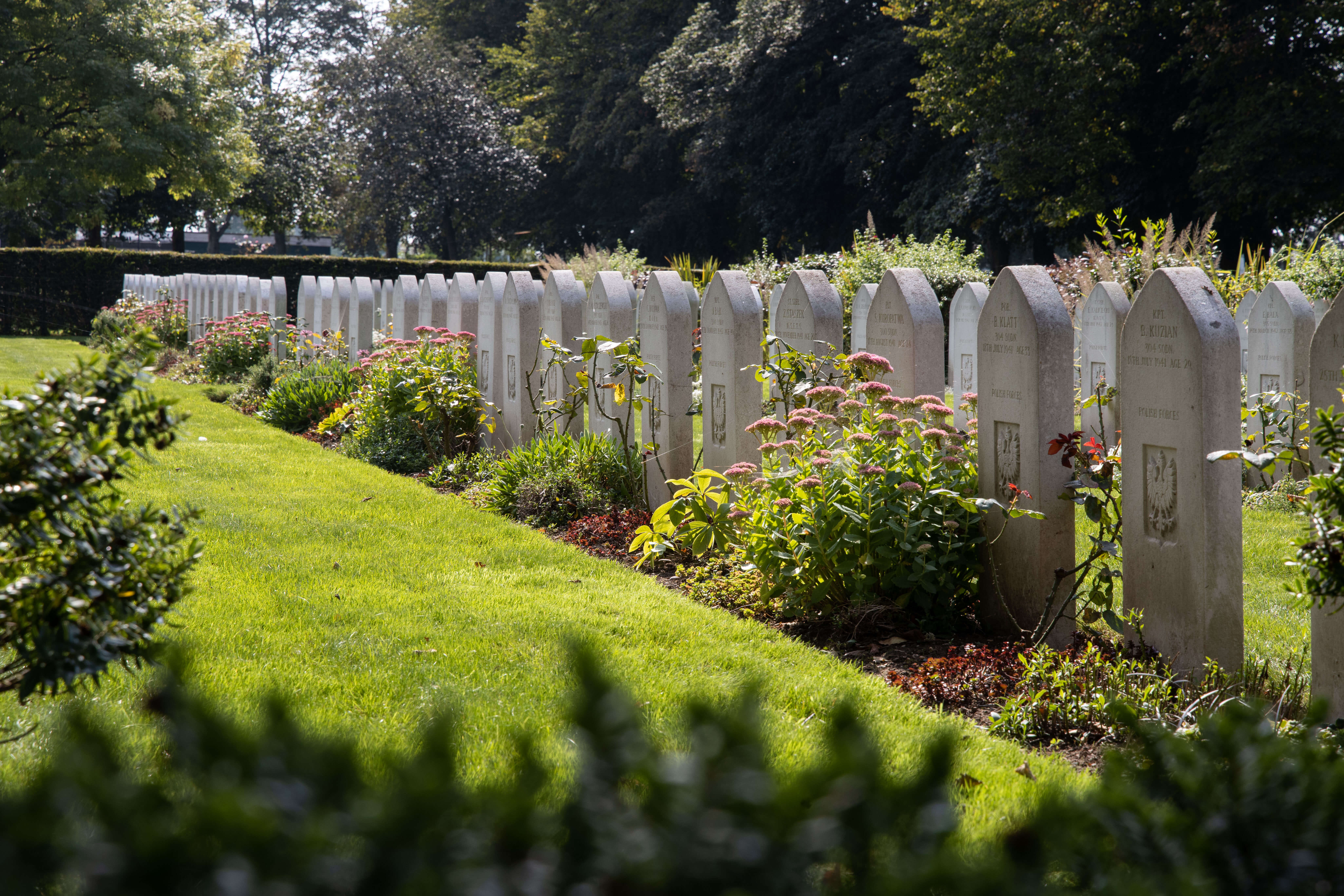 Row of headstones in a cemetery