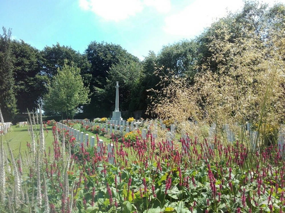 Close up of plant species at Harrogate Stonefall Cemetery.