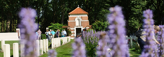 Flowers at Arnhem