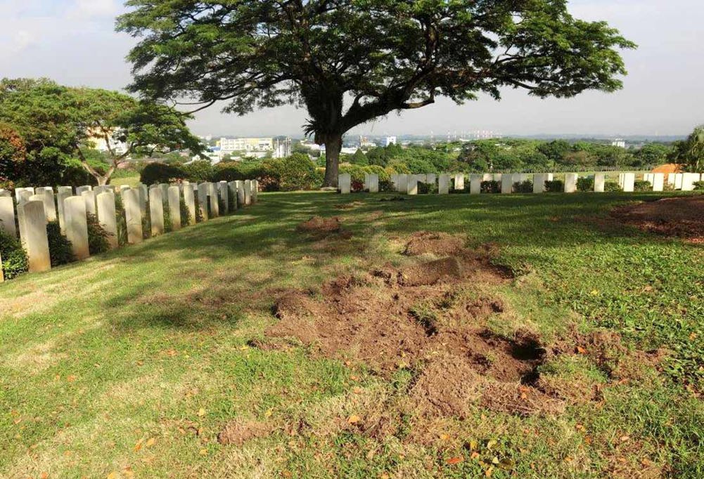 kranji 2